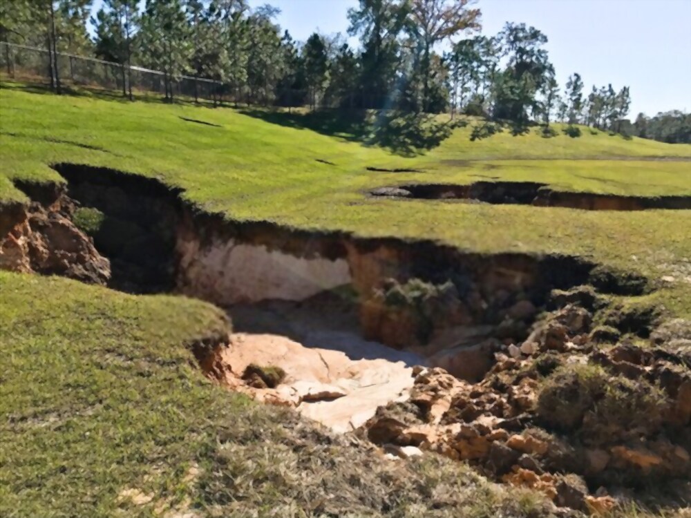 Sinkhole Remediation in Punta Gorda, FL